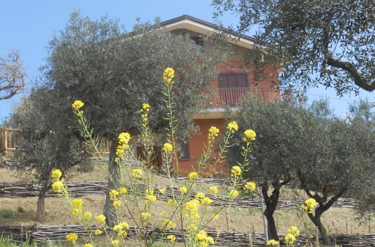 Гостевой дом Casale Il Gheppio Laureana Cilento Экстерьер фото